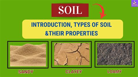 LOAM Meaning in English .